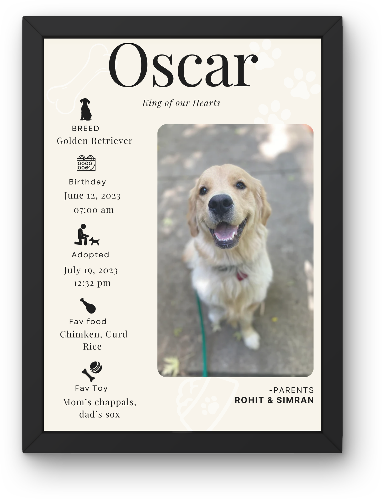 Pet Frames - Custom Pet Portraits